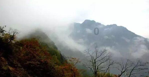 寻找萌宠松鼠